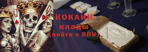 шишки Новокубанск