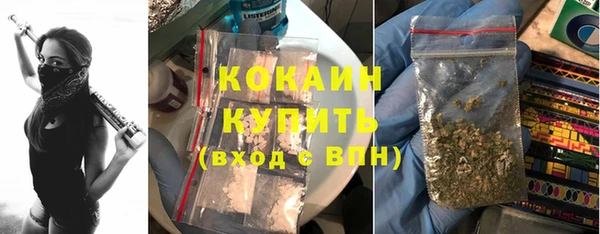 твердый Новозыбков