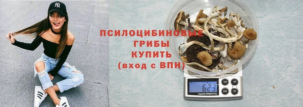 твердый Новозыбков