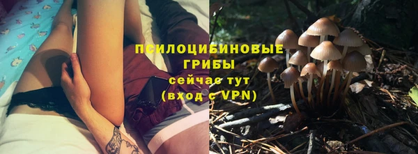 гидропоника Аркадак
